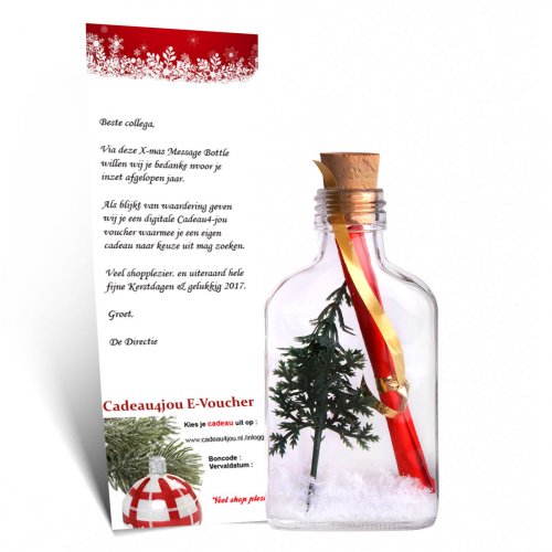 Cadeaubon verpakking kerstfeest | Originele verpakkingen | Messageinabottle.eu